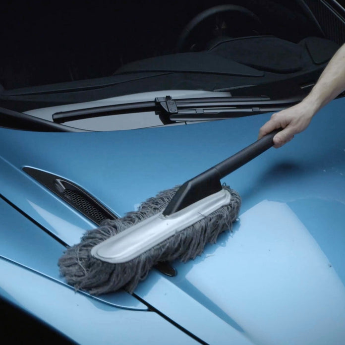 CAR DUSTER plumeau groot/klein/set